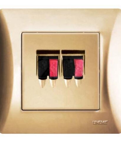 Πρίζα Ηχείων Lineme Χρυσό Ματ 50-00135-9-0