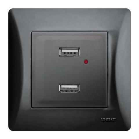 Πρίζα Με Δύο Θύρες USB Lineme Μαύρο 50-00139-2-0