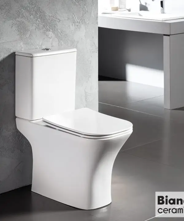 BIANCO Delia Rimless Πισωστόμια Λεκάνη Κομπλέ 65cm Soft Close DL12000SC-300