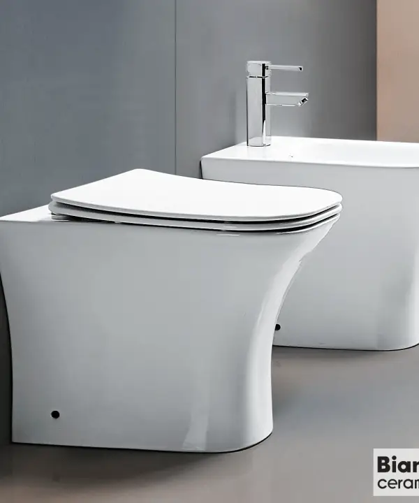 BIANCO Delia Rimless Πίσω/Κατωστόμια 52cm Soft Close DL13000SC-300