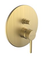 Armando Vicario Industrial Μίκτης Εντοιχισμού 1 Εξόδου Gold Brushed 512050-201-0