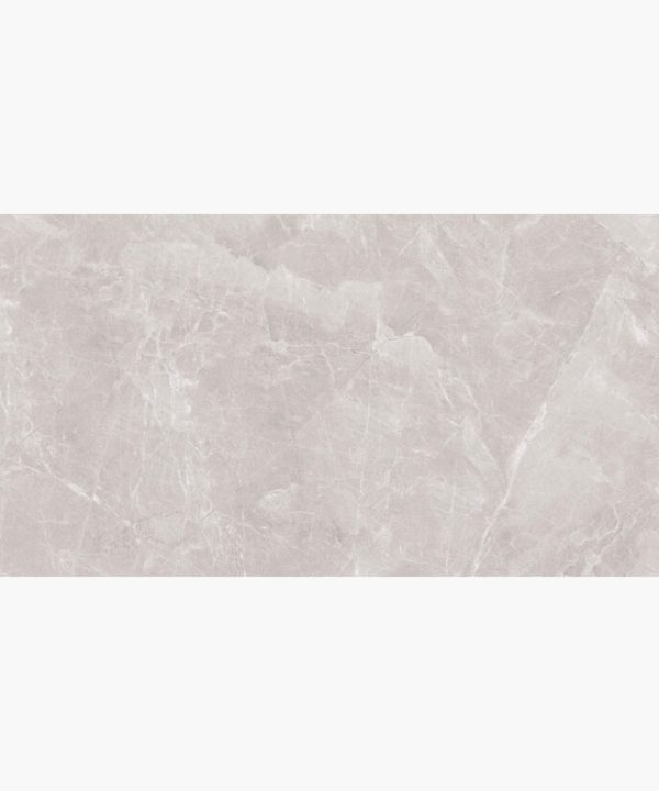 Famous Armani Grey Full Polished Πλακάκι Ρεκτιφιαρισμένο 60x120 9mm-0