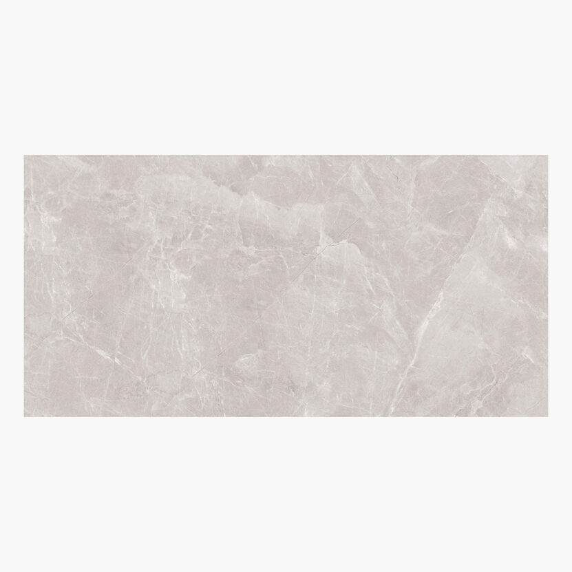 Famous Armani Grey Full Polished Πλακάκι Ρεκτιφιαρισμένο 60x120 9mm-0