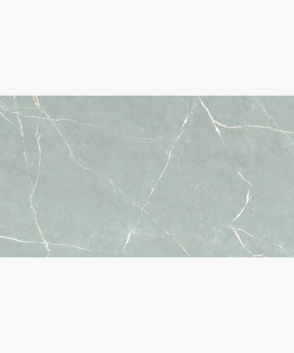 Essenza Grey Full Polished Πλακάκι Ρεκτιφιαρισμένο 59x119 10.5mm-0
