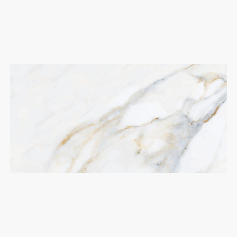 Lord Full Polished Πλακάκι Ρεκτιφιαρισμένο 59.5x119.5cm 8.5mm-0