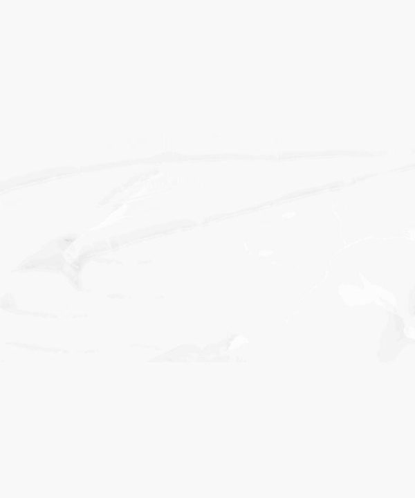 Mia Full Polished Πλακάκι Ρεκτιφιαρισμένο 60x120 7mm-0