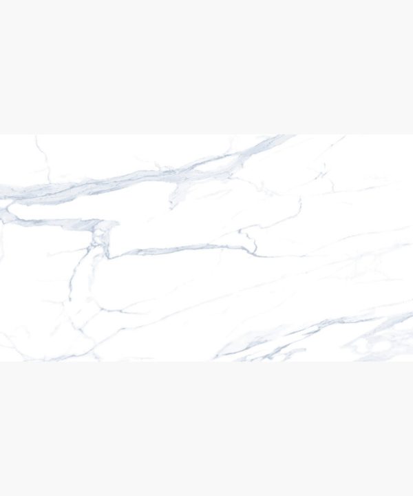 Pandora Full Polished Πλακάκι Ρεκτιφιαρισμένο 59.5x119.5 8.5mm-0