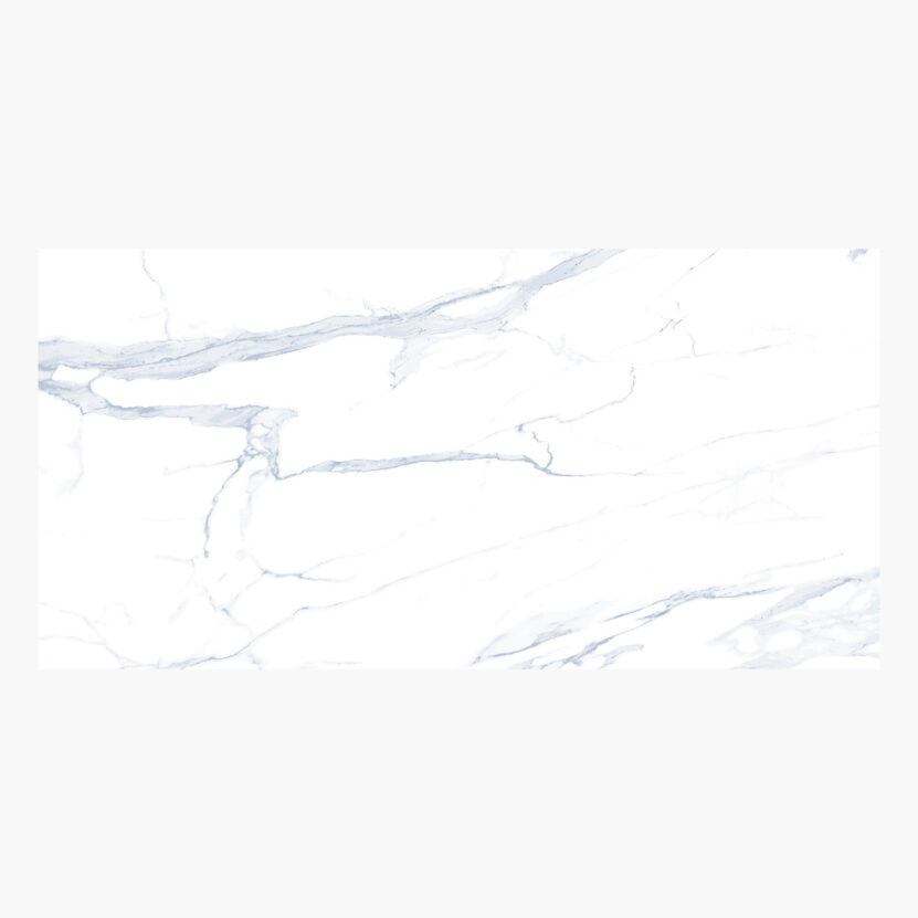 Pandora Full Polished Πλακάκι Ρεκτιφιαρισμένο 59.5x119.5 8.5mm-0