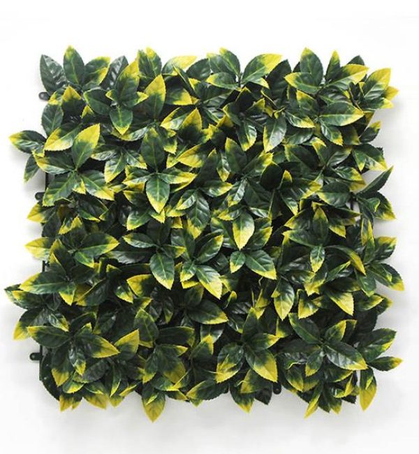 Κάθετη φυλλωσιά BERLIN 50 Χ 50 A017 PHOTINIA-0