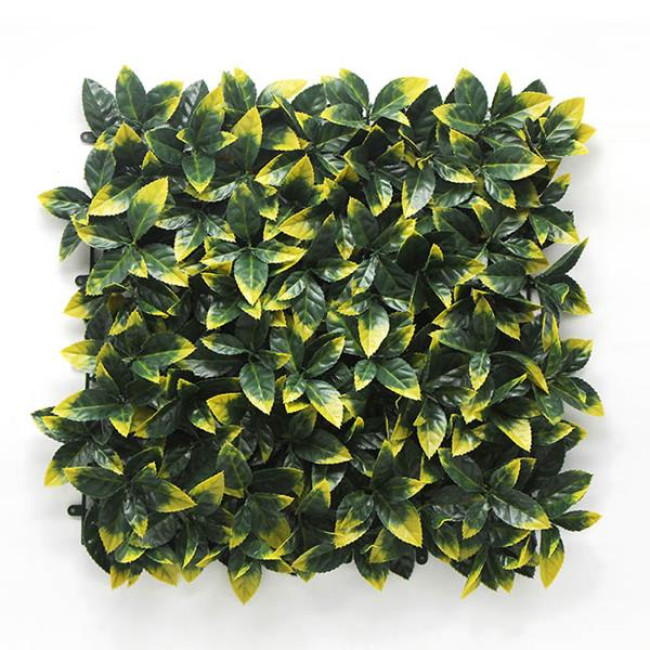 Κάθετη φυλλωσιά BERLIN 50 Χ 50 A017 PHOTINIA-0
