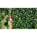 Κάθετη φυλλωσιά BERLIN 50 Χ 50 A017 PHOTINIA-36907