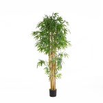 BAMBOO NP0076_210 ΥΨΟΣ 210cm