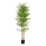 BAMBOO  NP6321_180_22  ΥΨΟΣ 180cm NewPlan - Image 5