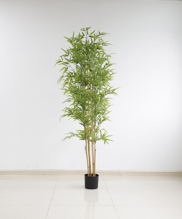 BAMBOO  NP6321_180_22  ΥΨΟΣ 180cm NewPlan