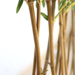 BAMBOO IN POT NP827_180_UV  ΥΨΟΣ 180cm NewPlan - Image 4