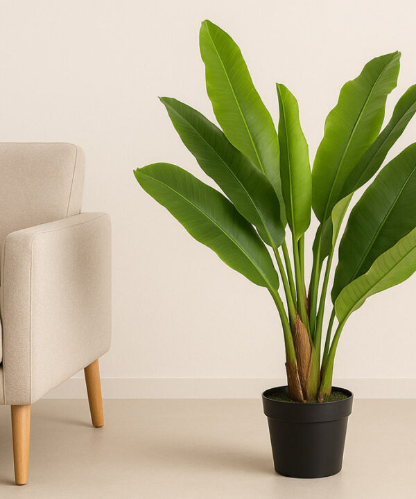 BANANA TREE NP014_120_22  ΥΨΟΣ 120cm NewPlan