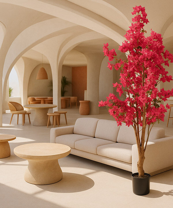 BOUGAINVILLEA  NP0422_170  ΥΨΟΣ 170cm NewPlan