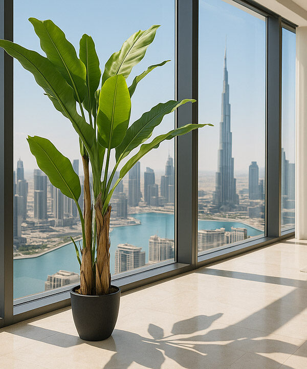 BANANA TREE NP6327_180_22  ΥΨΟΣ 180cm NewPlan