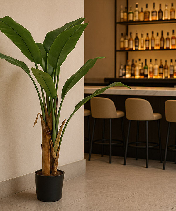 BANANA TREE NP702_145  ΥΨΟΣ 145cm NewPlan