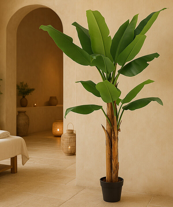 BANANA TREE NP708_220  ΥΨΟΣ 220cm NewPlan