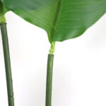 BIRD OF PARADISE  NP717_160  ΥΨΟΣ 160cm NewPlan - Image 4