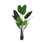 BIRD OF PARADISE  NP717_160  ΥΨΟΣ 160cm NewPlan - Image 5