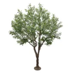 OLIVE TREE NP496_240_UV ΥΨΟΣ 240cm NewPlan