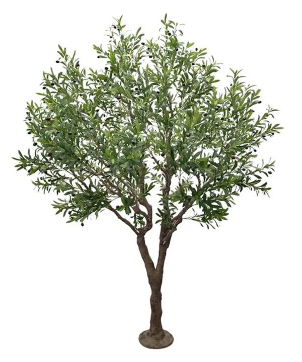 OLIVE TREE NP496_240_UV ΥΨΟΣ 240cm NewPlan