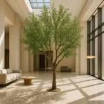 OLIVE TREE NP496_240_UV ΥΨΟΣ 240cm NewPlan - Image 2